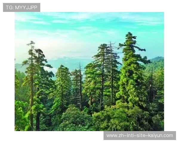 全生物降解防护网在山地运动中应用 有效保护了自然保护区的生态底色